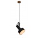 77-3049 HL-243S-1P FARCOM BLACK PENDANT