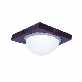 77-1833 3081F Φ24 TECO COL/ION,NICKEL MAT-CHROME CEILING B3