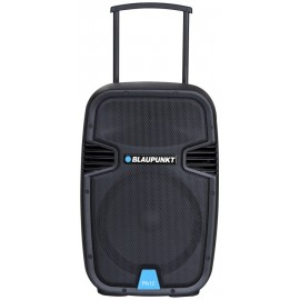 15-PA12 BLAUPUNKT AUDIO SYSTEM PA12