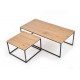 60-20290 ALASKA set of two c. tables DIOMMI V-CH-ALASKA-LAW
