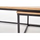 60-20290 ALASKA set of two c. tables DIOMMI V-CH-ALASKA-LAW