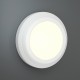 80201420 it-Lighting Jocassee LED 3.5W 3CCT Outdoor Wall Lamp White D:15cmx2.7cm (80201420)