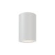80300524 InLight Reindeer 1xGU10 Outdoor Ceiling Down Light White D:14.1cmx9,4cm (80300524)