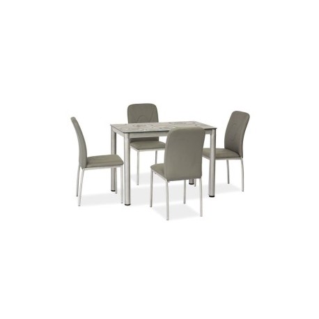 80-1669 DAMAR TABLE GRAY / GRAY FRAME 100X60 DIOMMI DAMARSZ