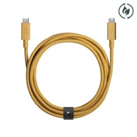 Native Union Belt USB 2.0 Cable USB-C male - USB-C 240W Χρυσό (10CAB0188)