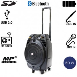 14882-0231 Akai SS023A-X10 Φορητό ηχείο Bluetooth με ενισχυτή, USB, SD, ασ. μικρόφωνο και ρόδες – 50 W RMS