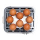 199201-0025 First Austria FA-5115-3 Βραστήρας αυγών για 8 αυγά 500 W