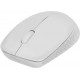 Rapoo M100 Silent Ασύρματο Bluetooth Ποντίκι Γκρι