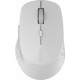 Rapoo M300 Silent Ασύρματο Bluetooth Ποντίκι Γκρι