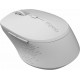Rapoo M300 Silent Ασύρματο Bluetooth Ποντίκι Γκρι