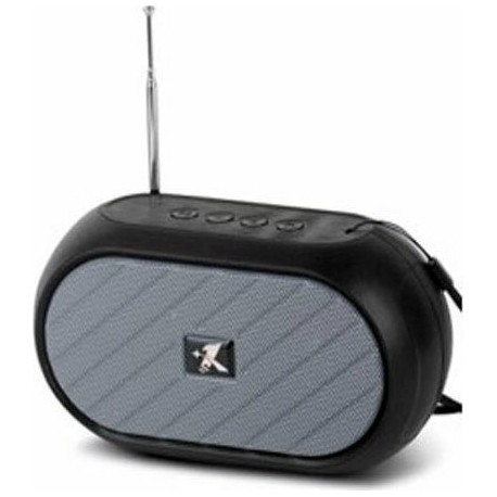 Telemax C20 Ηχείο Bluetooth 5W με Ραδιόφωνο Μπλε