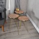 321-000068 Βοηθητικά τραπέζια Wakmi pakoworld σετ 3τεμ oak μελαμίνης-χρυσό μέταλλο