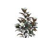 316-000027 Διακοσμητικό φυτό Mangola I σε γλάστρα Inart λευκό pp Υ155εκ