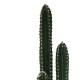 316-000024 Διακοσμητικό φυτό Cactus III σε γλάστρα Inart πράσινο pp Υ85εκ