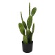 316-000021 Διακοσμητικό φυτό Cactus σε γλάστρα Inart πράσινο pp Υ64εκ