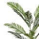 316-000012 Διακοσμητικό φυτό Areca ΙΙ σε γλάστρα Inart πράσινο pp Υ150εκ
