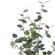 316-000014 Διακοσμητικό φυτό Eucalyptus σε γλάστρα Inart πράσινο pp Υ120εκ