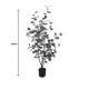 316-000014 Διακοσμητικό φυτό Eucalyptus σε γλάστρα Inart πράσινο pp Υ120εκ