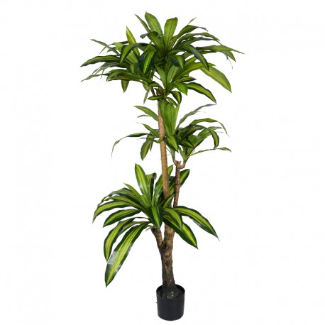 316-000009 Διακοσμητικό φυτό Dracaena I σε γλάστρα Inart  πράσινο pp Υ170εκ