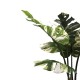 316-000004 Διακοσμητικό φυτό Monstera I σε γλάστρα Inart πράσινο pp Υ90εκ