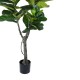 316-000002 Διακοσμητικό φυτό Fiddlehead I σε γλάστρα Inart πράσινο pp Υ180εκ