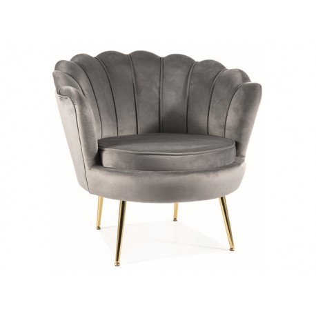 80-3210 FOTEL CAMELLIA 1 VELVET SZARY BLUVEL 14/ZŁOTY