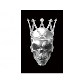80-2323 ΕΙΚΟΝΑ SKULL II 80X120 DIOMMI SKULLII80