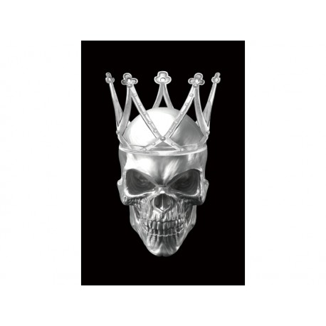 80-2323 ΕΙΚΟΝΑ SKULL II 80X120 DIOMMI SKULLII80
