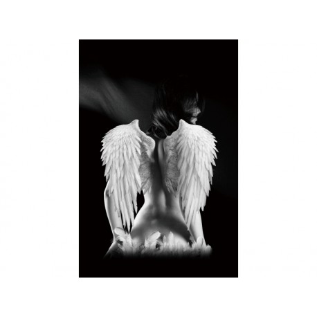 80-1497 ΕΙΚΟΝΑ ΑΓΓΕΛΟΣ 80Χ120 DIOMMI ANGEL80