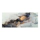 071-001595 Πίνακας σε καμβά Marbole pakoworld με ψηφιακή εκτύπωση 50x3x120εκ