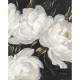 14670042  Πίνακας ArteLibre -Φύση- Καμβάς 80x100cm