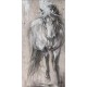 14670091  Πίνακας ArteLibre -Ζωϊκό Βασίλειο- Καμβάς 60x120cm