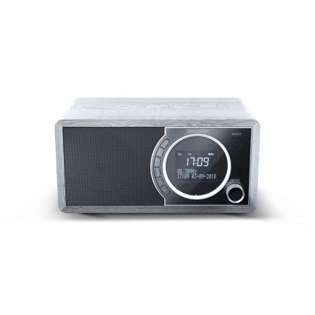 15-DR450GR SHARP DIGITAL RADIO GRAY DR450GR