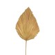 343-000115 Διακοσμητικό φύλλο Walsy Inart palm leaf σε φυσική απόχρωση Υ135 εκ
