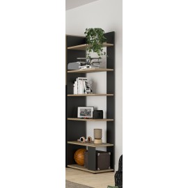 0171.GM30 Nael βιβλιοθήκη 56x37x198εκ. Rookwood Oak / Μαύρο  Rookwood Oak / Μαύρο 56x37εκ. Ύψος : 198εκ.
