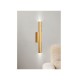 43061-Golden Inlight Επιτοίχιο φωτιστικό LED 2*5W 3000K σε χρυσαφί απόχρωση απο αλουμίνιο D:30x6cm (43061-Golden)