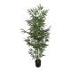 316-000030 Διακοσμητικό φυτό Bamboo σε γλάστρα Inart πράσινο pp Υ150εκ