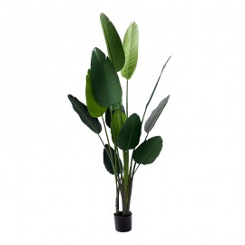316-000035 Διακοσμητικό φυτό Palm tree σε γλάστρα Inart πράσινο pp Υ180εκ