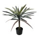 316-000038 Διακοσμητικό φυτό Dracaena palm σε γλάστρα Inart πράσινο pp Υ62εκ