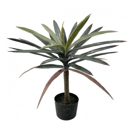 316-000038 Διακοσμητικό φυτό Dracaena palm σε γλάστρα Inart πράσινο pp Υ62εκ