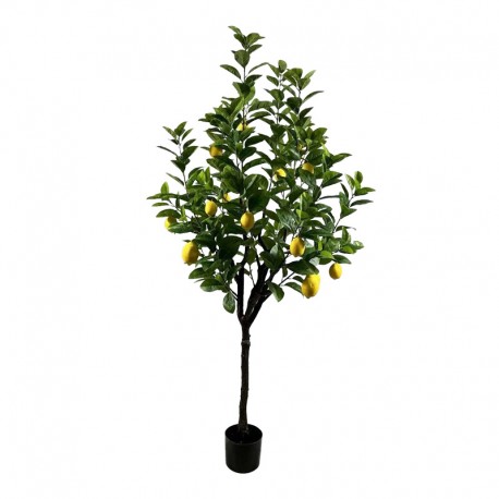 316-000034 Διακοσμητικό φυτό Lemon tree σε γλάστρα Inart πράσινο pp Υ180εκ