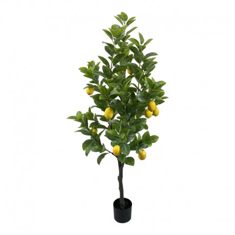 316-000033 Διακοσμητικό φυτό Lemon tree σε γλάστρα Inart πράσινο pp Υ150εκ