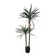 316-000039 Διακοσμητικό φυτό Dracaena palm σε γλάστρα Inart πράσινο pp Υ125εκ