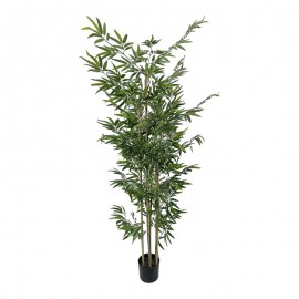 316-000031 Διακοσμητικό φυτό Bamboo σε γλάστρα Inart πράσινο pp Υ190εκ