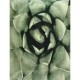 05152797 Μαξιλάρι ArteLibre Πράσινο Βελούδο 40x60cm Πράσινο
