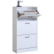 15340019 Παπουτσοθήκη ArteLibre BRANTLEY Λευκό Μοριοσανίδα 60x24x116cm Λευκό