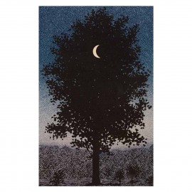 ΠΙΝΑΚΑΣ TOIXOY ΣΕΙΡΑ GOBI HM4850 ΕΚΤΥΠΩΜΕΝΟΣ ΚΑΜΒΑΣ 45x3(πάχος)x70Yεκ.