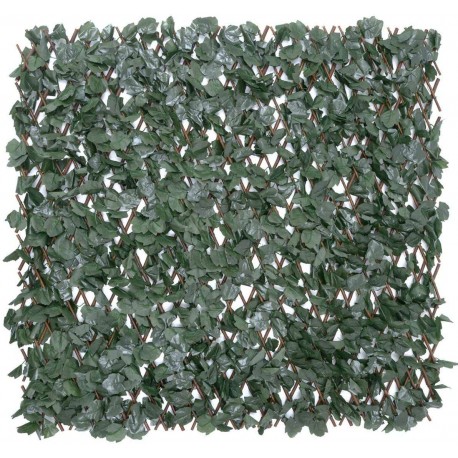 E-2107 Αναρριχώμενος Κισσός - 1x2mΜΕ ΠΕΡΓΚΟΛΑ 10ΤΜΧ./ΚΙΒ