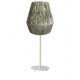 0223139 TLA 6872 GN/WH ΠΟΡΤΑΤΙΦ ΒΑΣΗ ΛΕΥΚΗ ΚΑΠΕΛΟ ΠΡΑΣΙΝΟ ΦΥΛΛΟ ΜΠΑΝΑΝΙΑΣ 1ΧΕ14