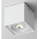 80301024 it-Lighting Monument 1xGU10 Outdoor Down Wall Lamp White D:8cm (80301024)